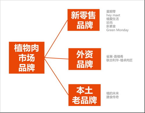 塔望食品品牌策划 中国植物肉市场品牌总结分析及盘点